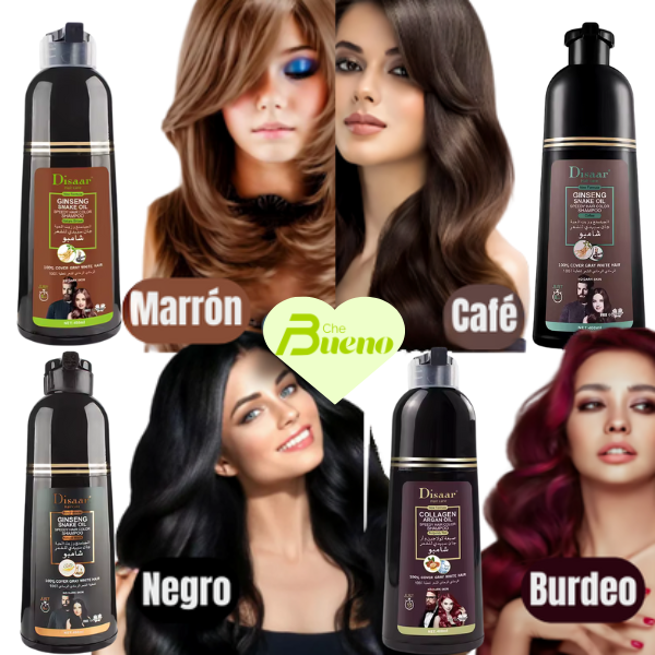 Shampoo Tinte Disaar™ 🌿 Dile Adiós a las Canas