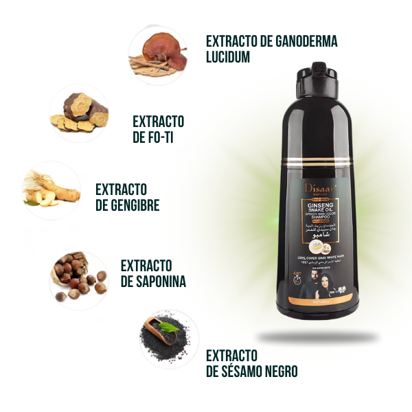 Shampoo Tinte Disaar™ 🌿 Dile Adiós a las Canas